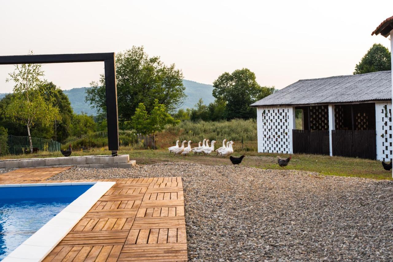 Skriveni Raj Guest House Gornji Milanovac Exterior foto